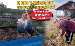 6 bin tane dikti, yıllık kârı 3 milyon lira! ‘Sevene kolay, sevmeyen tam bir işkence’