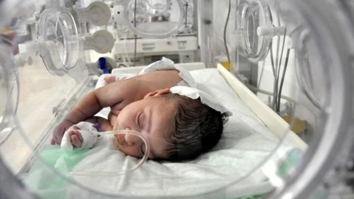 Kemal Memişoğlu”ndan Yenidoğan Çetesi’ açıklaması: Devlet olarak peşindeyiz